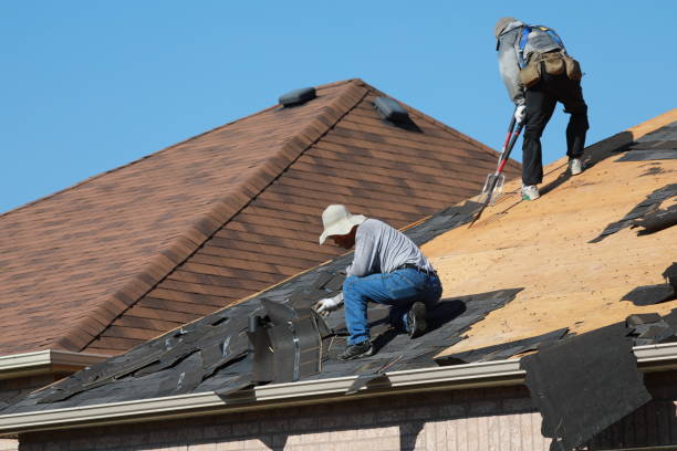 Best Gutter Installation and Repair  in Fort Rucker, AL