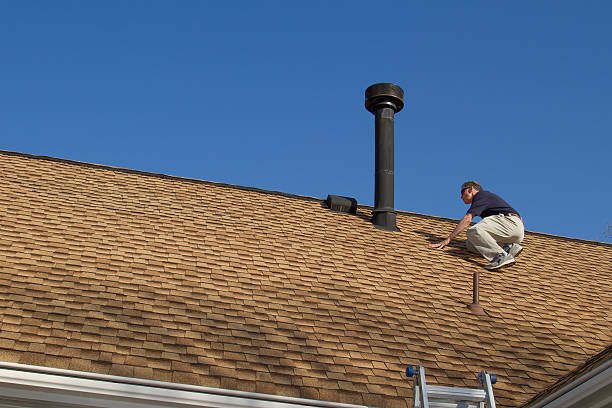 Best Roof Maintenance and Cleaning  in Fort Rucker, AL